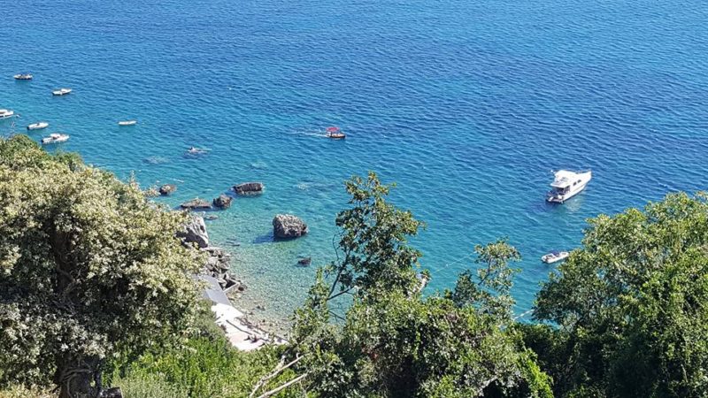 14063808_1252635348120180_3138504836548479731_n