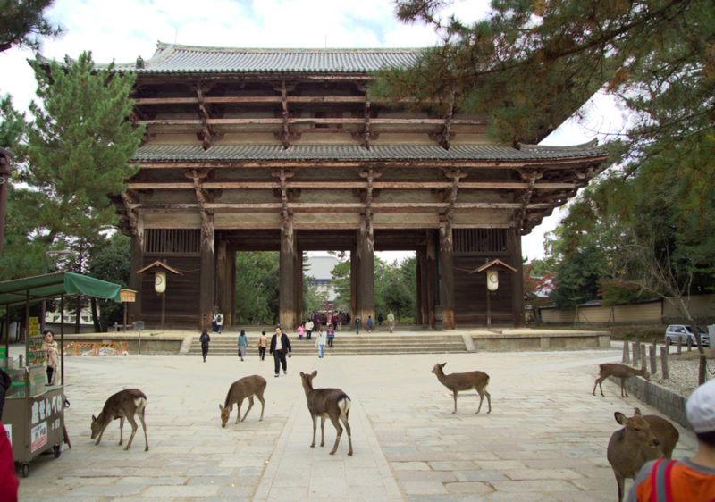 japan_nara_1