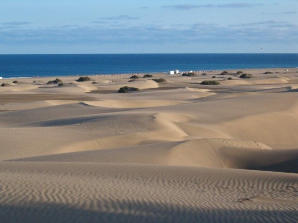 CANARIE - FUERTEVENTURA